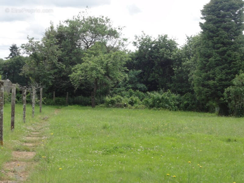 Terrain à BAUD