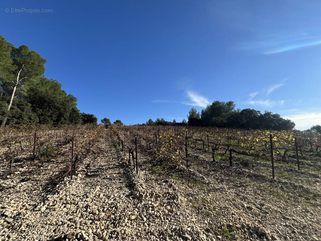Terrain à MONTPEYROUX