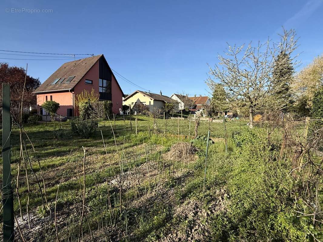 Jardin bordé d&#039;autres Jardins - Maison à SOUFFELWEYERSHEIM