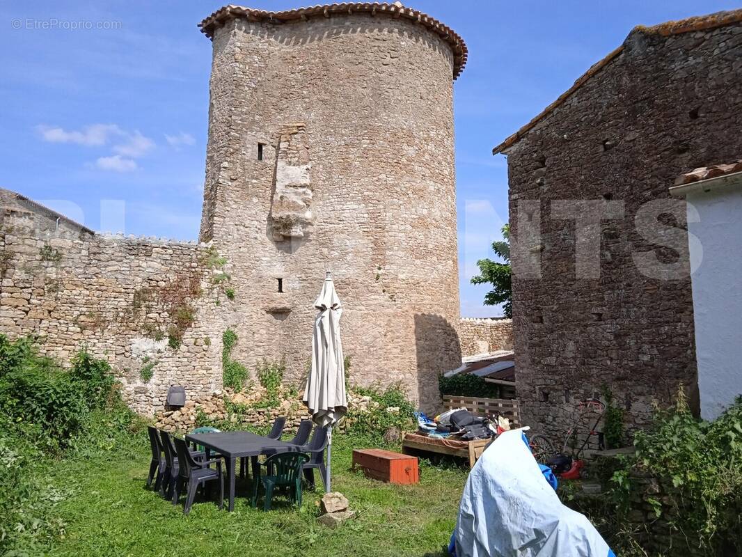 1747755085761 - Maison à CHANTONNAY