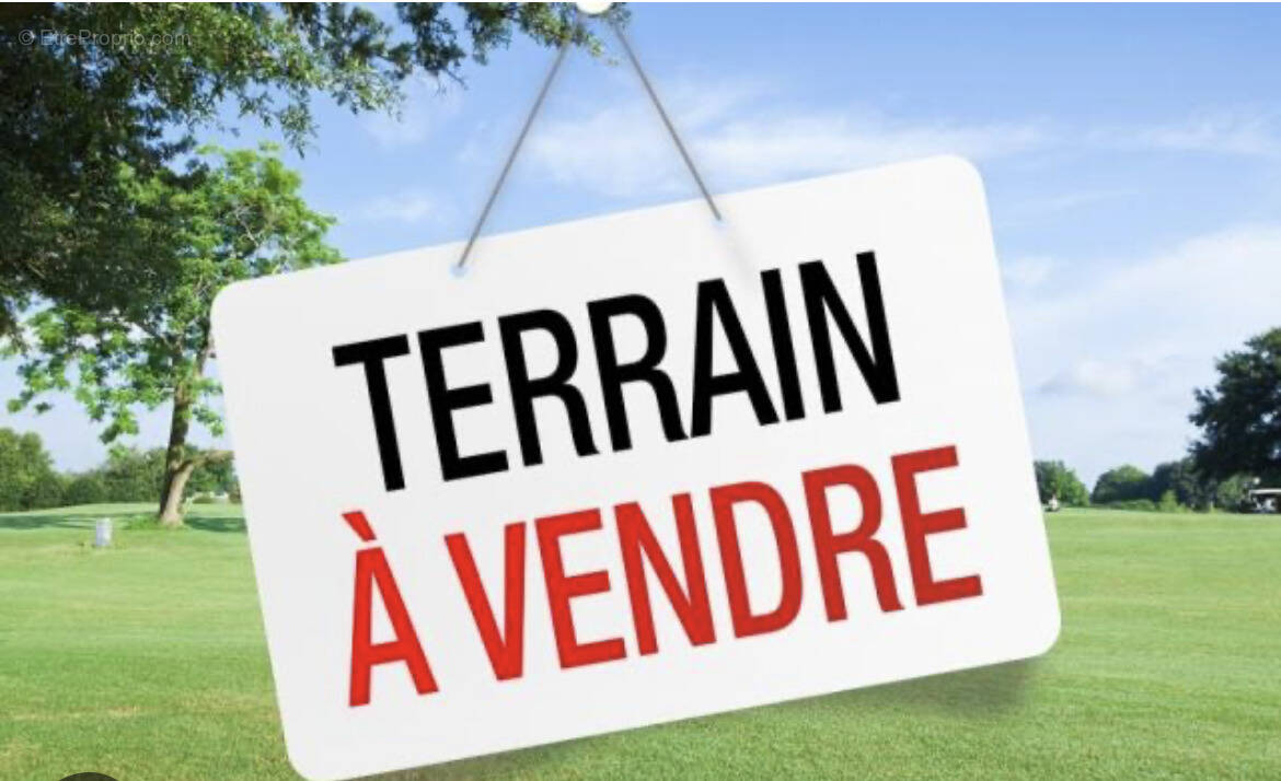 Terrain à ORCHIES