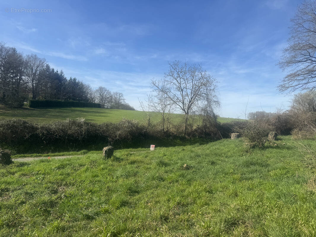 Terrain à POCE-SUR-CISSE