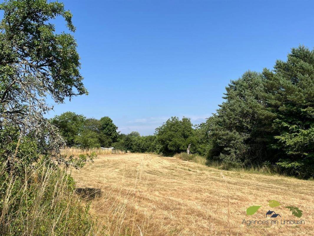 Maison à CHATEAUNEUF-LA-FORET