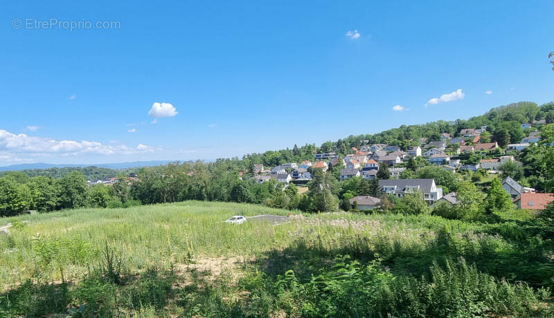 Terrain à BRUNSTATT