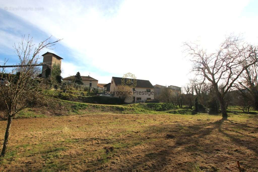 Maison à TOURNUS