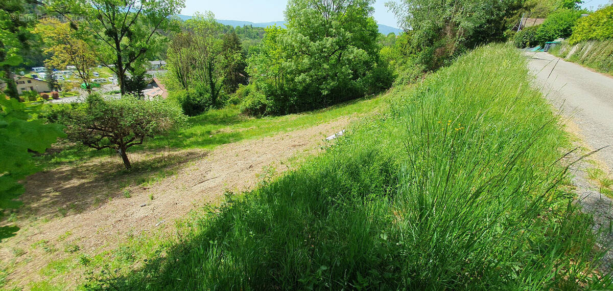 Terrain à BONNE