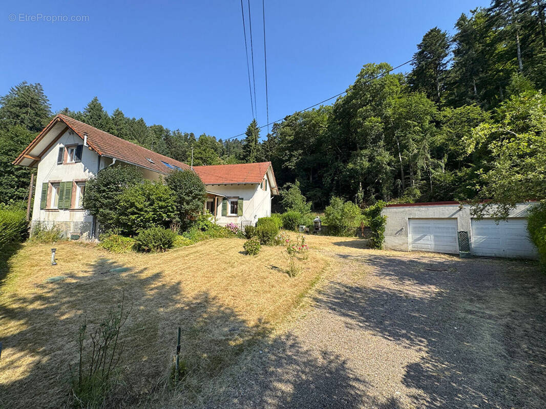 Maison à RIBEAUVILLE