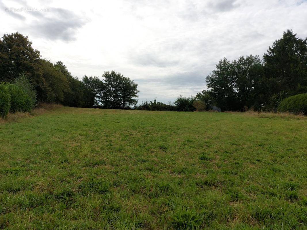 Terrain à BOUSSAC