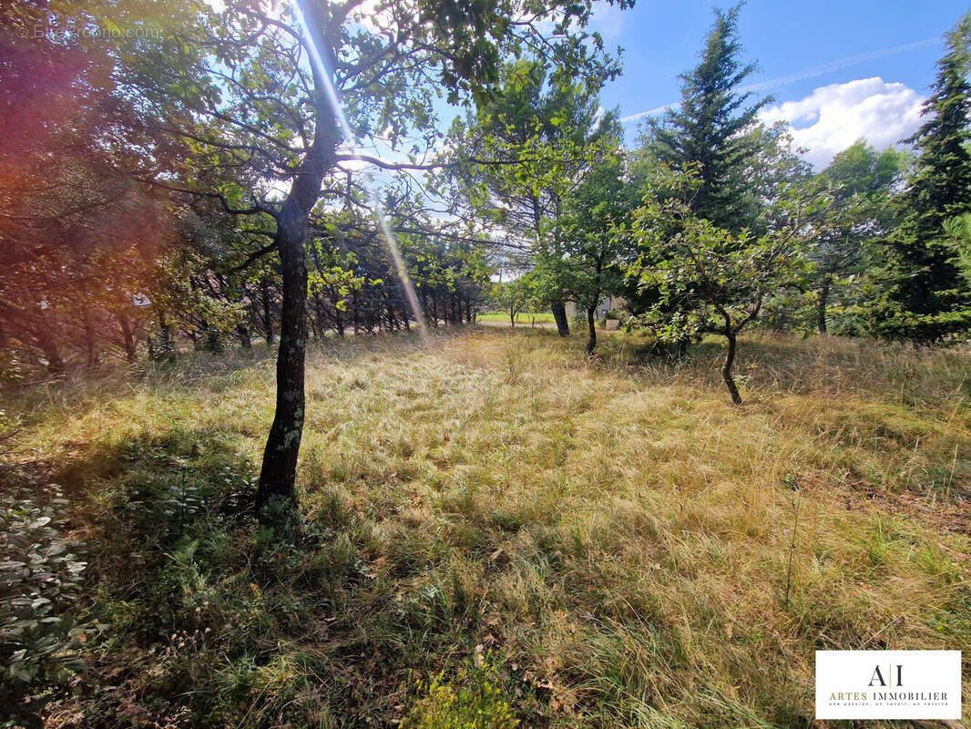Terrain à LE TEIL