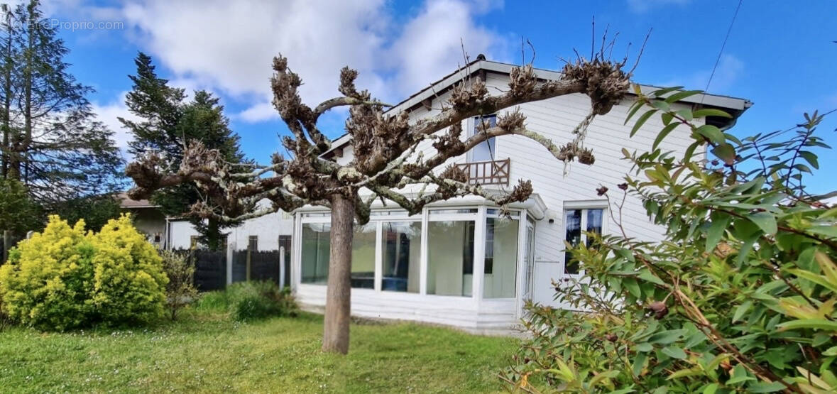 Maison à BELIN-BELIET