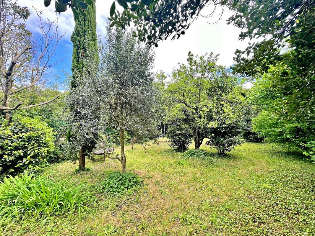 Jardin - Maison à MONTELIMAR
