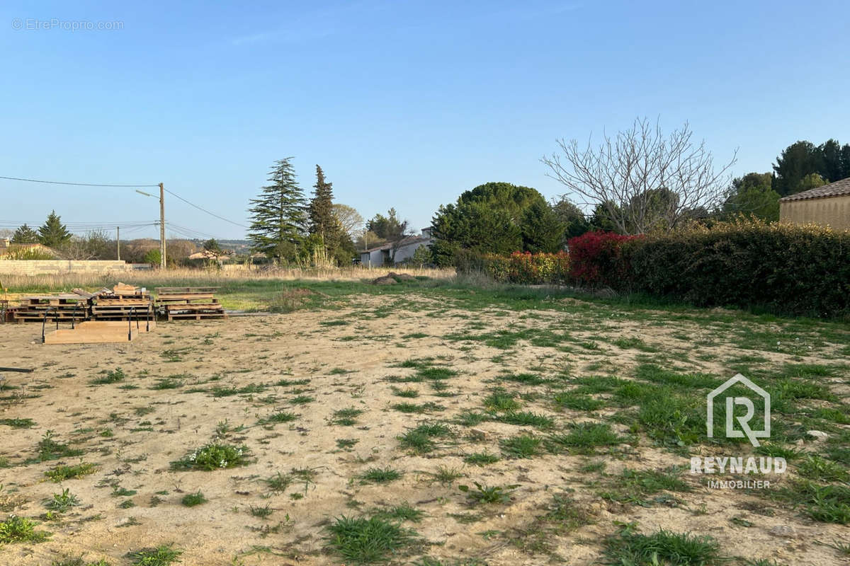 Terrain à PLAISSAN