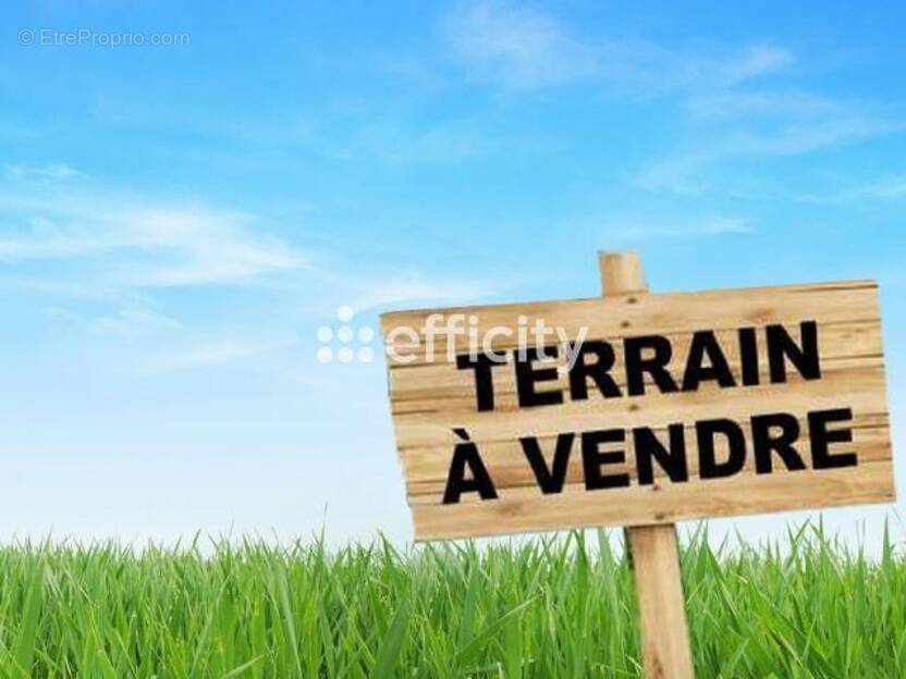 Terrain à TREVIERES