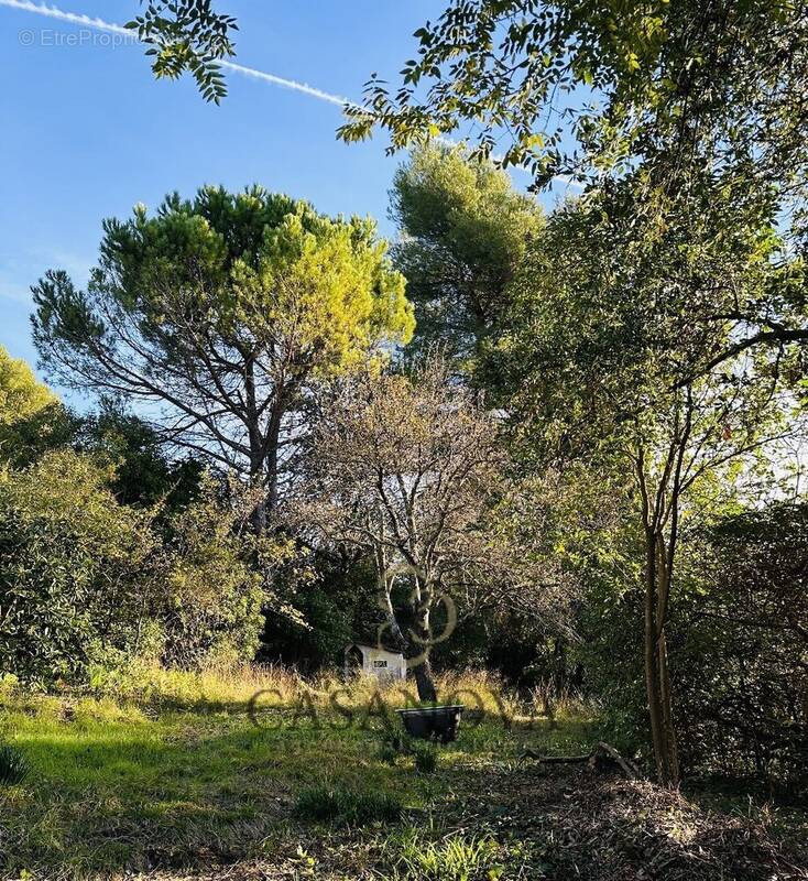 Terrain à MONTPELLIER