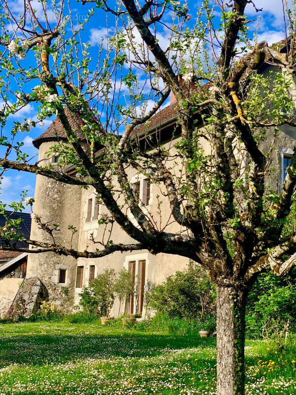 Appartement à QUINTAL