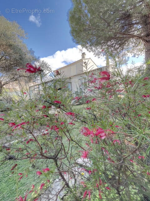Maison à CASTRIES