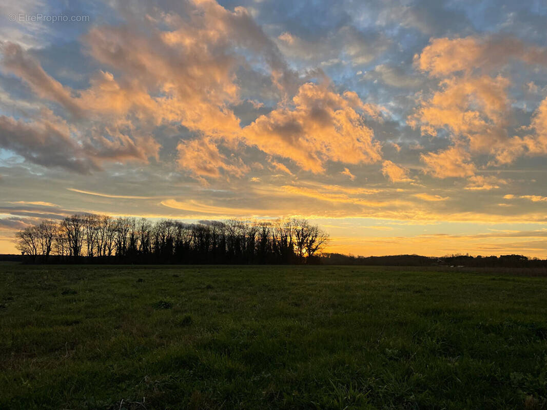 Terrain à LIGUGE