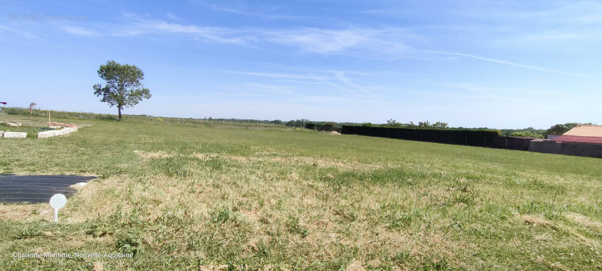 Terrain à SAINT-FORT-SUR-GIRONDE