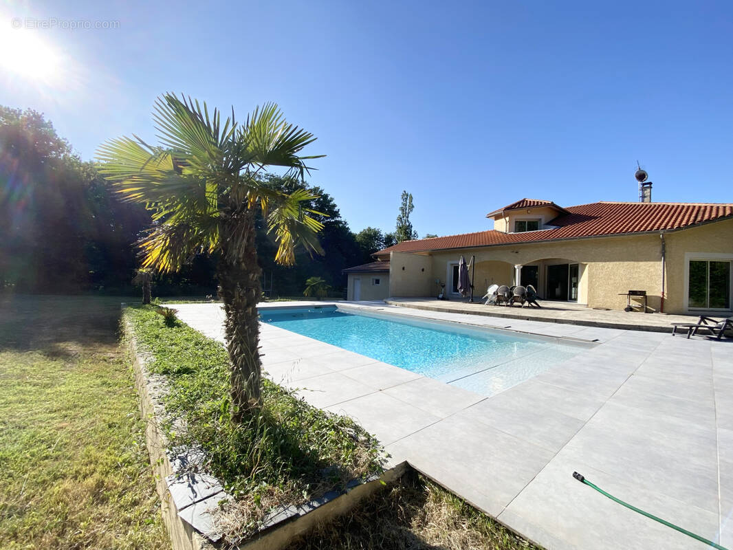 Maison à DARDILLY