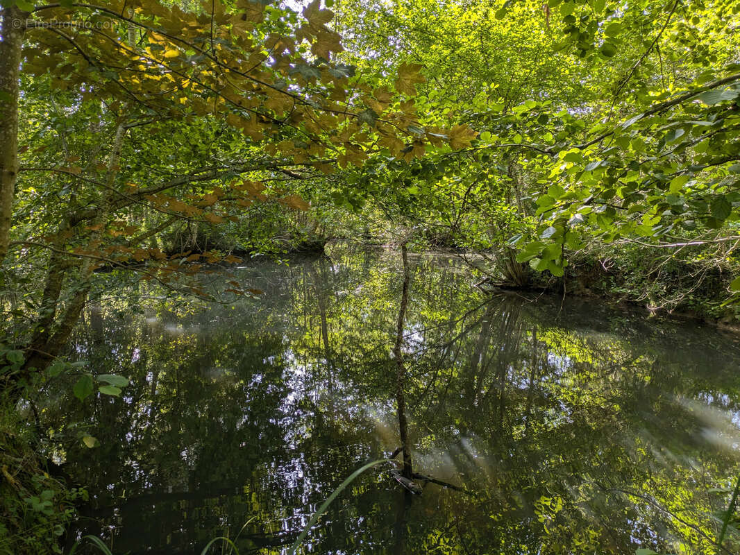 Terrain à MONTARGIS