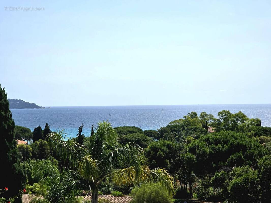 Maison à LE LAVANDOU