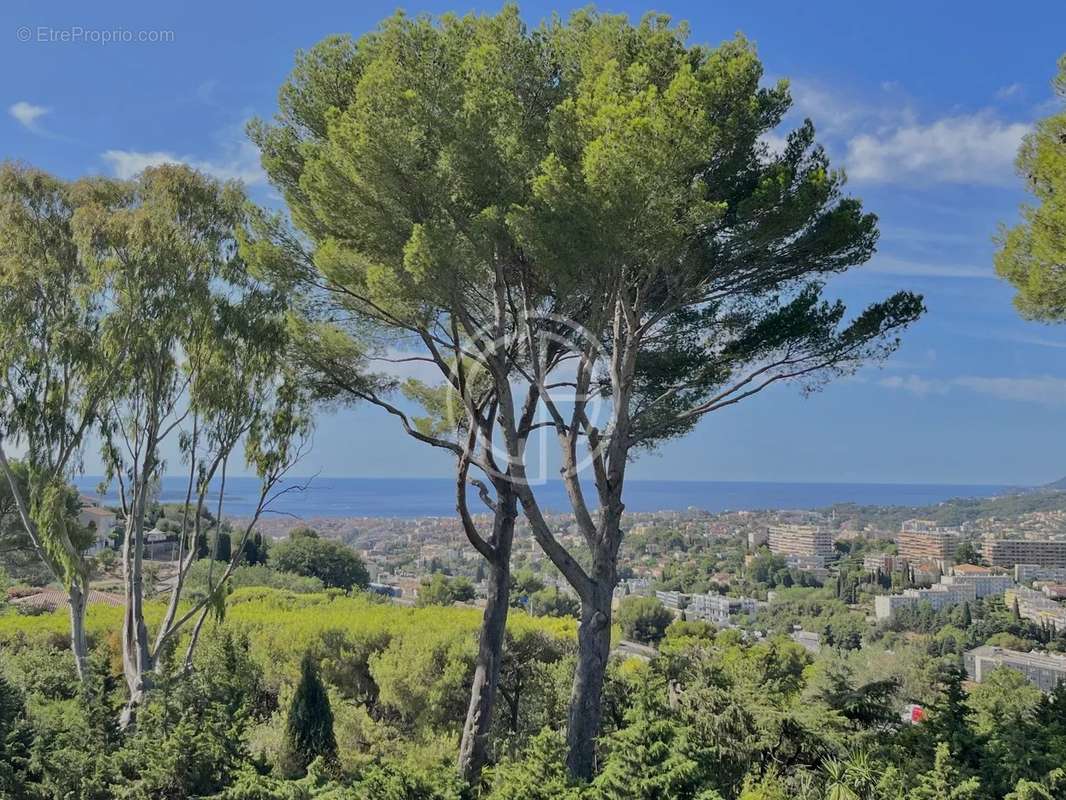 Maison à MOUGINS