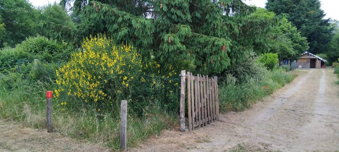 Terrain à LES BORDES