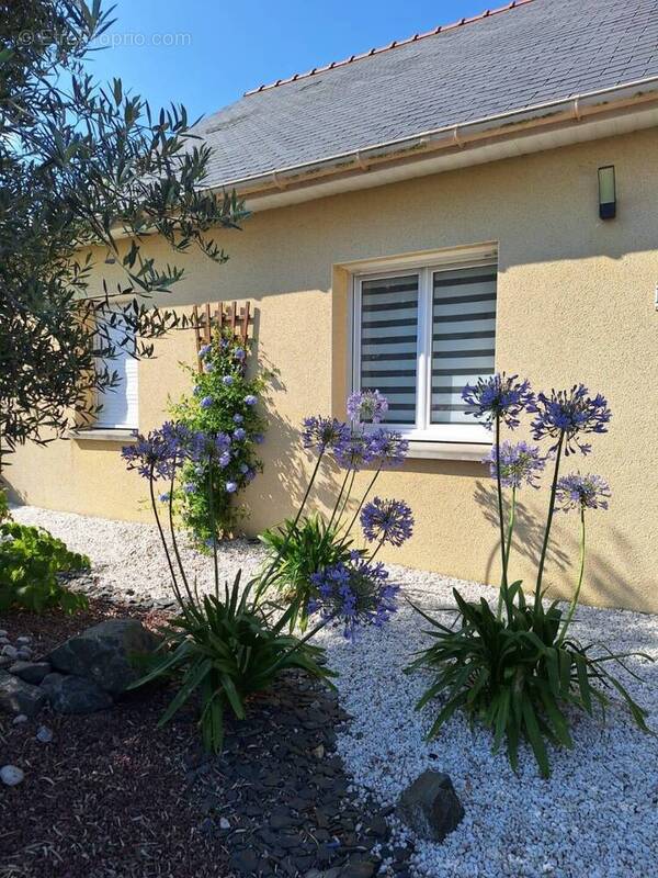 Maison à SAINT-MARS-LA-JAILLE