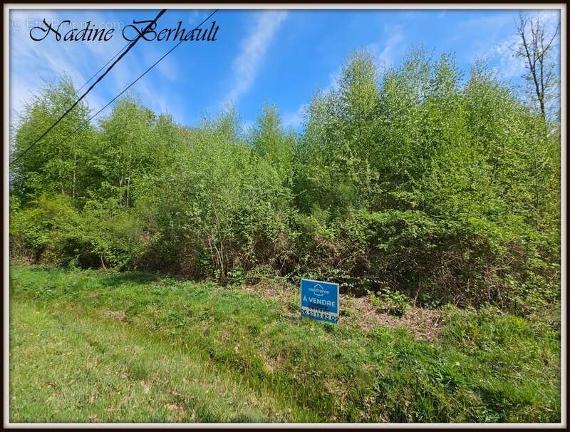 Terrain à ERVAUVILLE