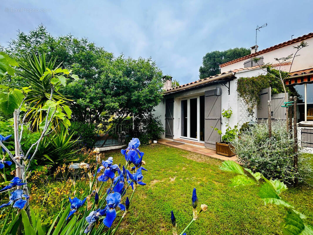 Maison à LE LAVANDOU