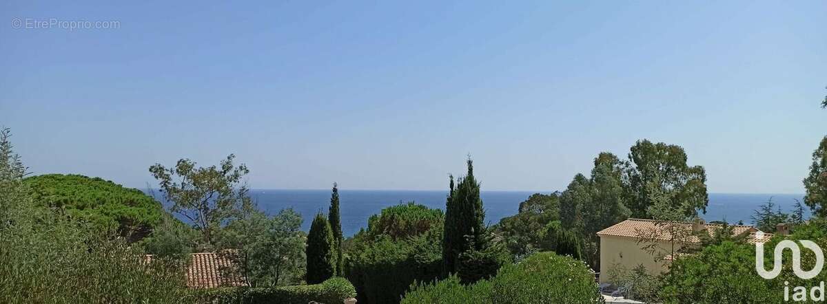 Photo 6 - Maison à ROQUEBRUNE-SUR-ARGENS