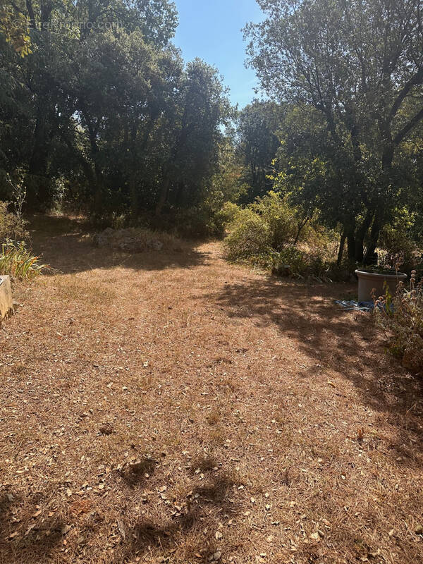 Terrain à MONTPELLIER