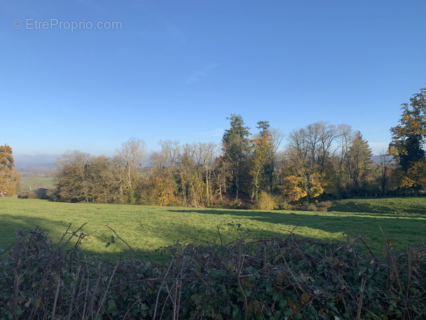 Terrain à LE BREUIL