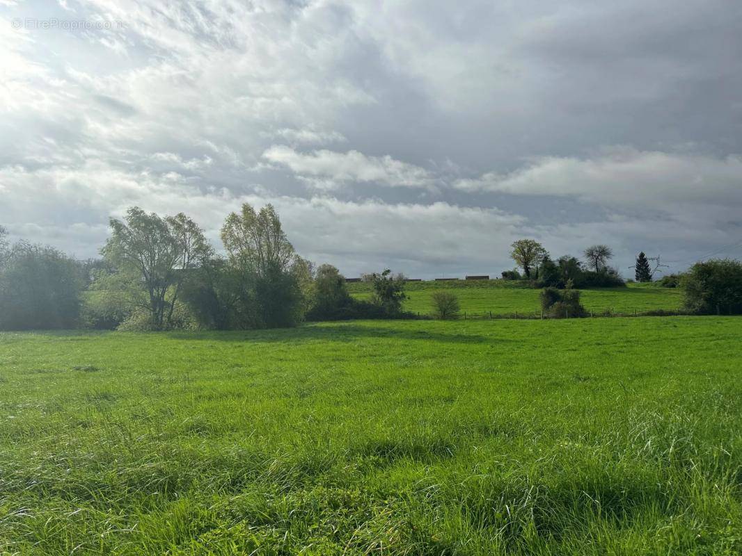 Terrain à REMY