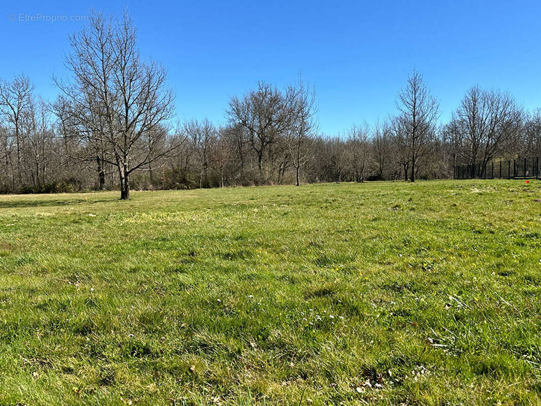 Terrain à SAINT-ETIENNE-DE-TULMONT