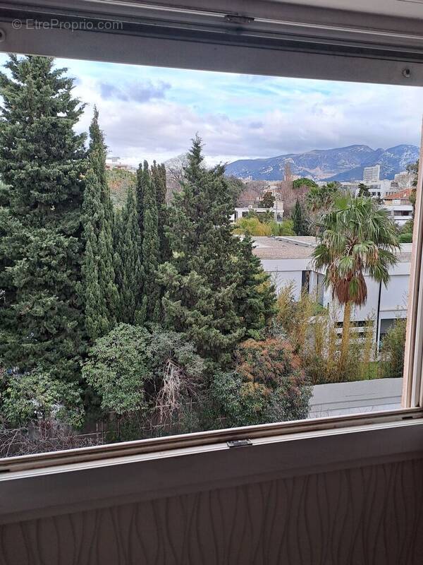 Photo 1 - Appartement à MARSEILLE-8E
