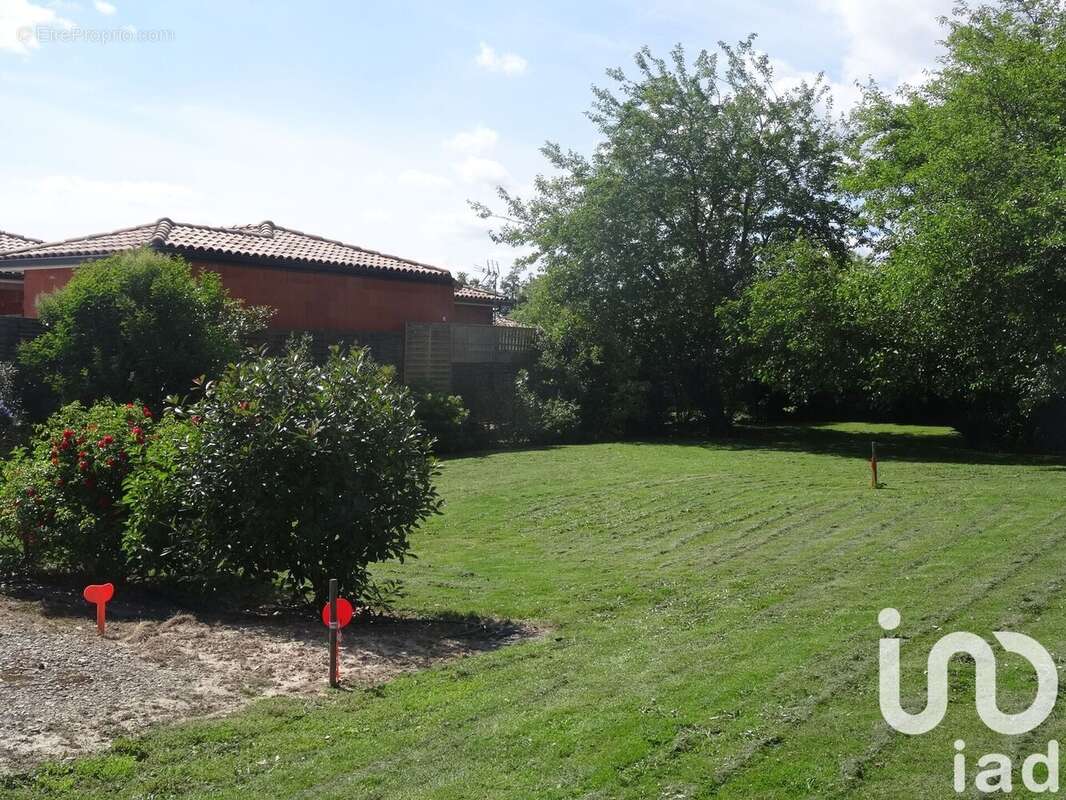 Photo 2 - Terrain à MONTAUBAN