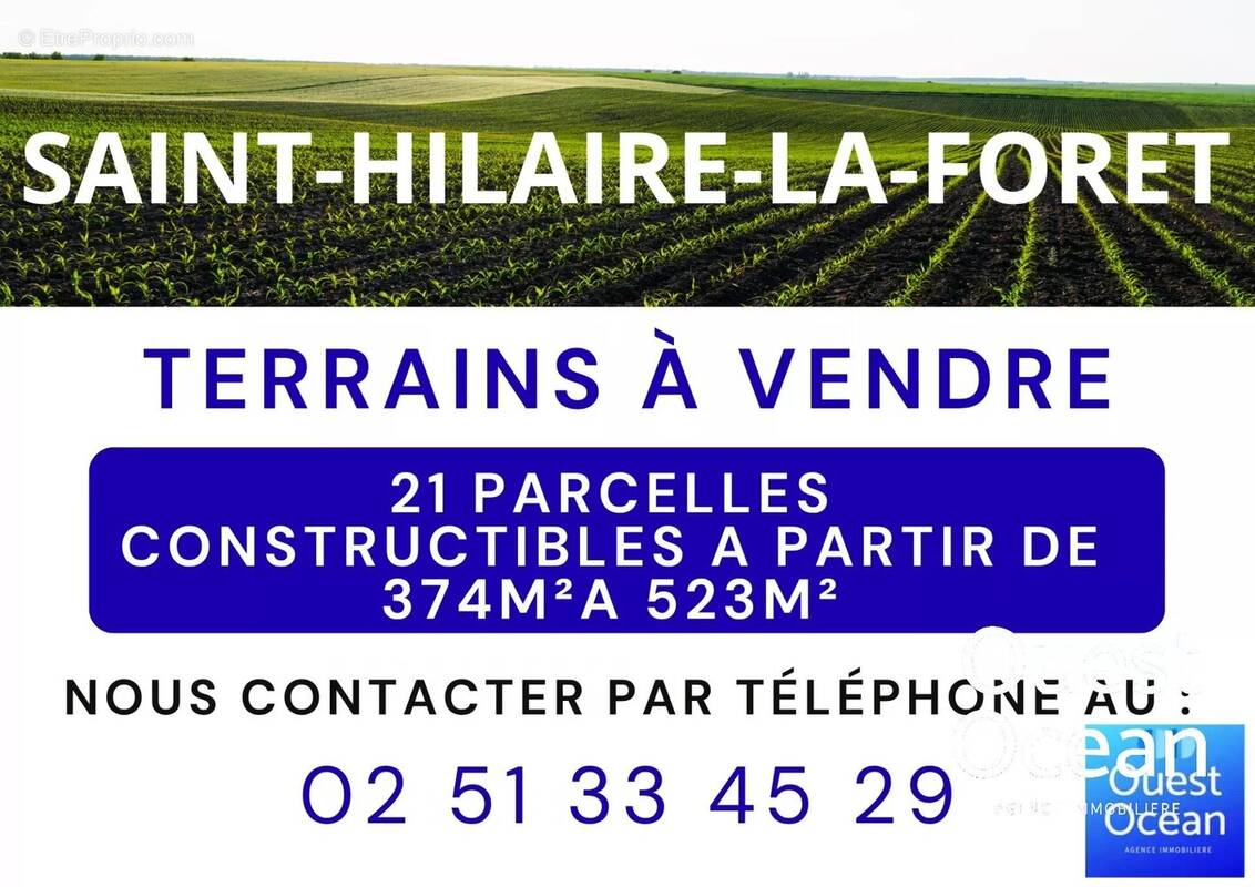 Terrain à SAINT-HILAIRE-LA-FORET
