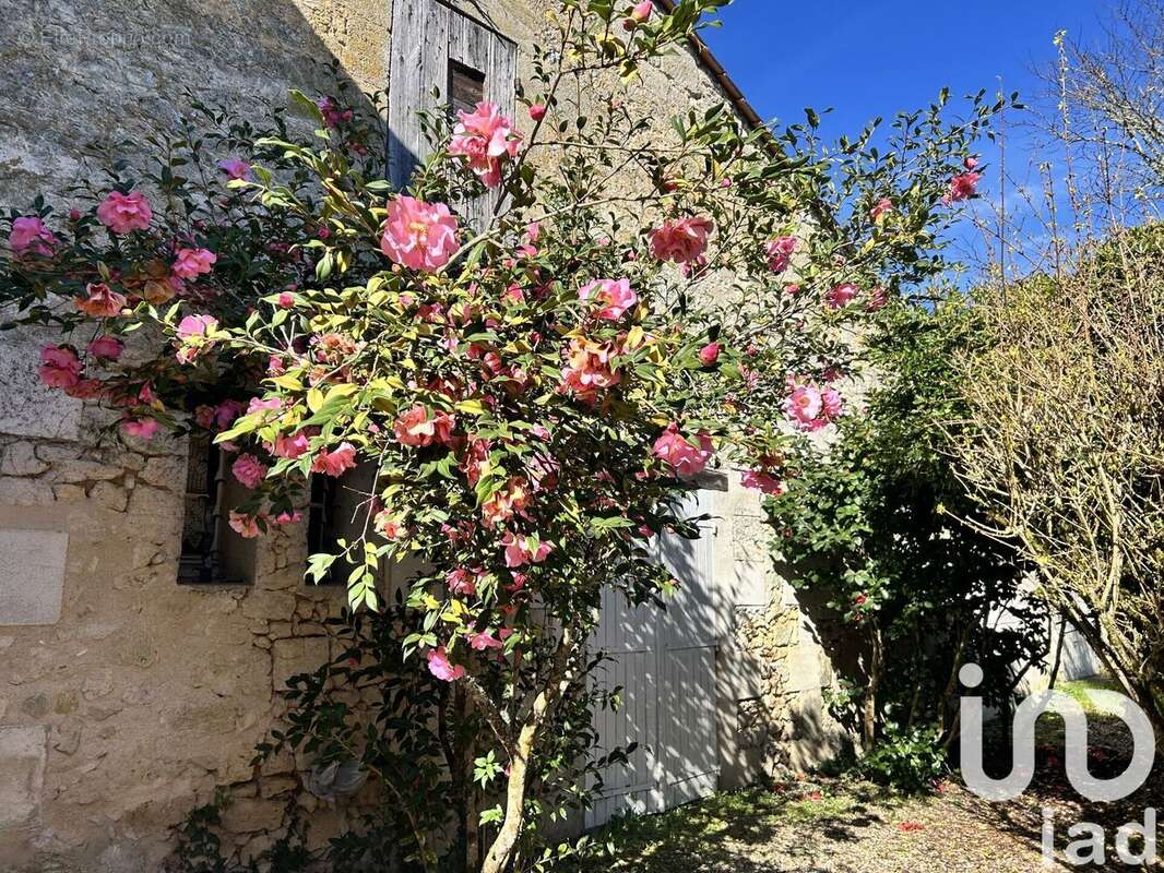Photo 4 - Maison à PERISSAC