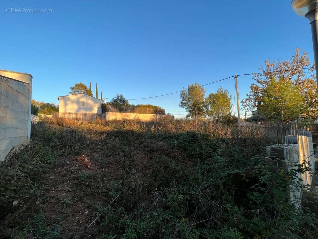 Terrain à LA MOTTE