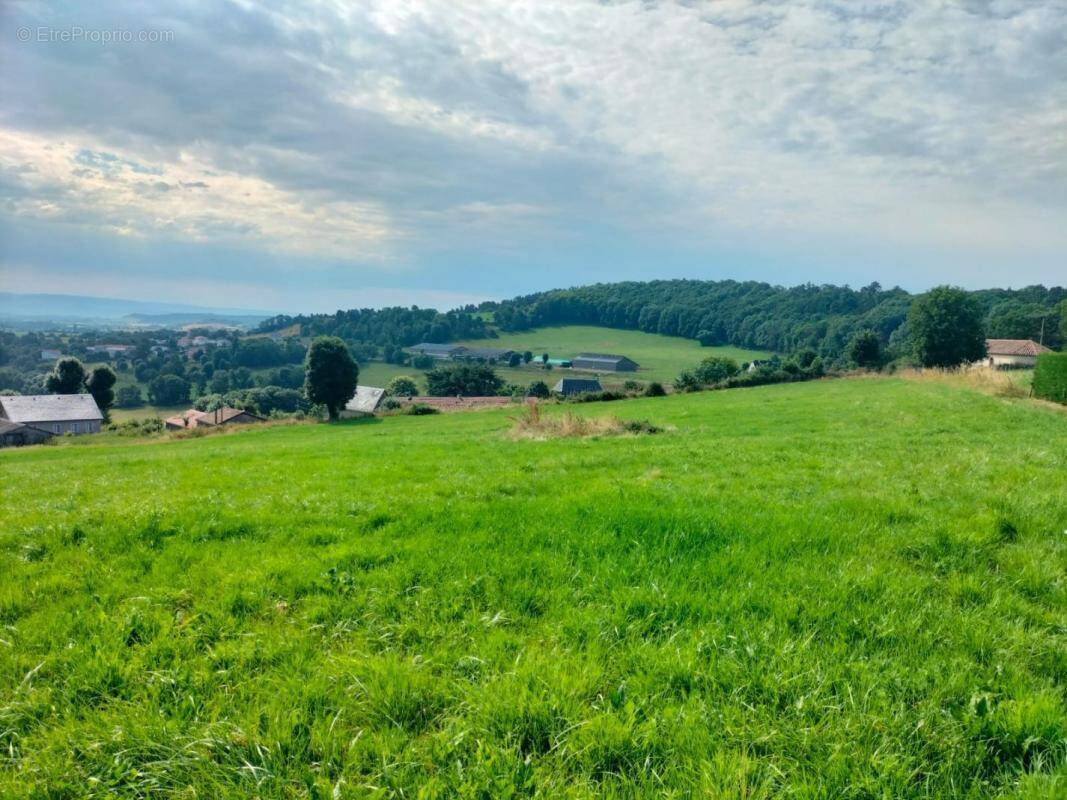 Terrain à SAINT-FLOUR