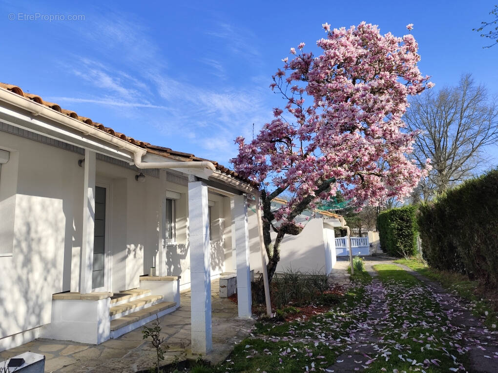 Maison à CESTAS