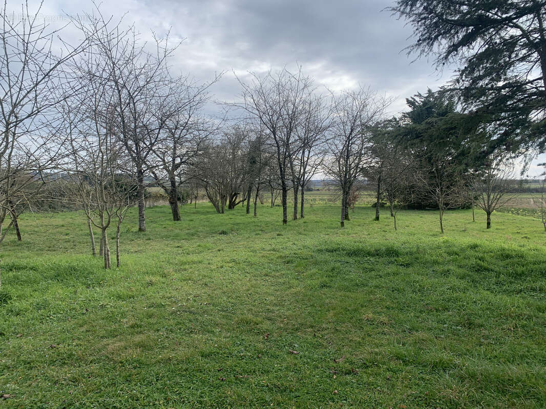 Autre à CHATELLERAULT