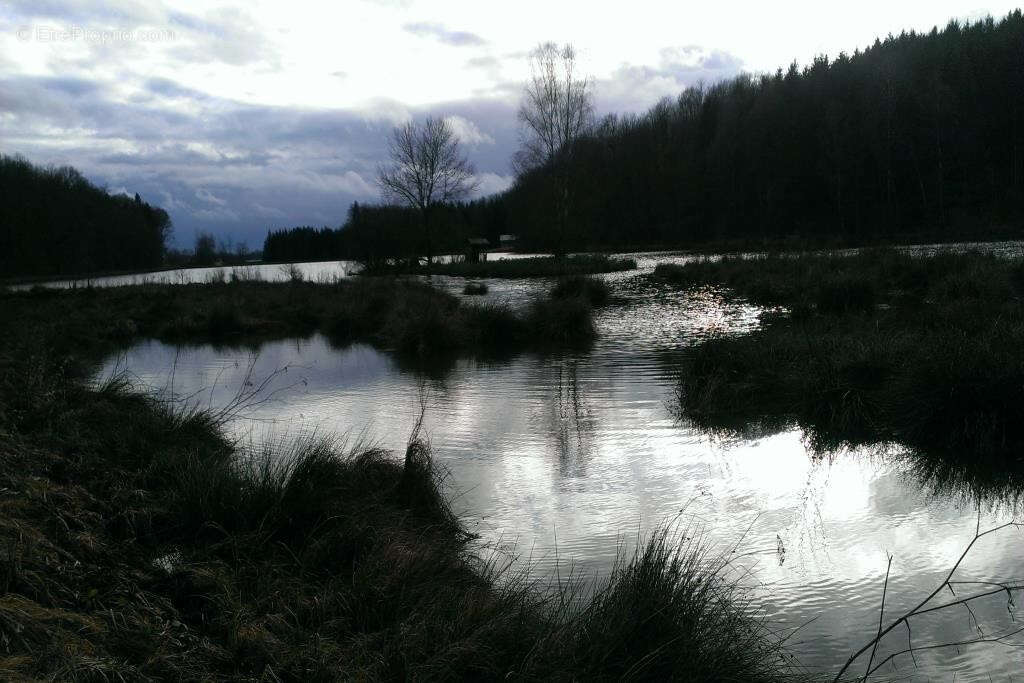 Terrain à MULHOUSE