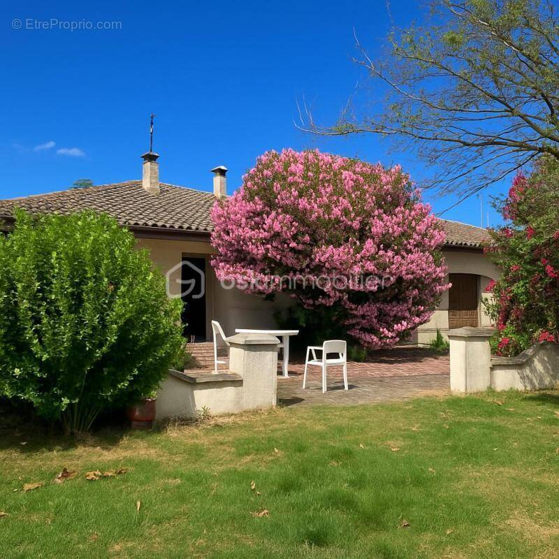 Maison à LAVAUR