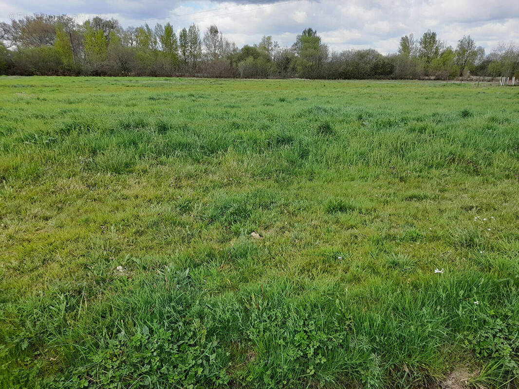 Terrain à MONTPON-MENESTEROL