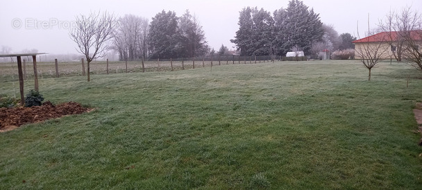 Terrain à BAGE-LA-VILLE