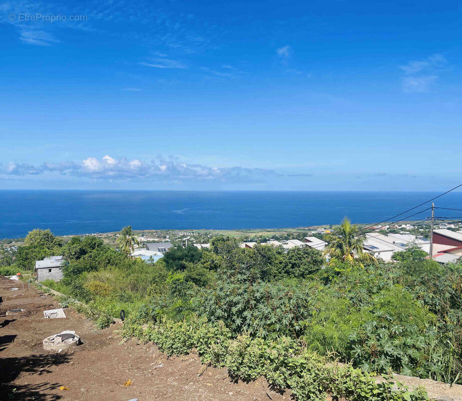 Terrain à LE PORT