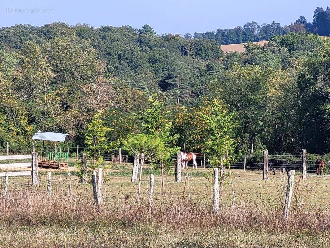 Terrain à SAINT-MAIME-DE-PEREYROL