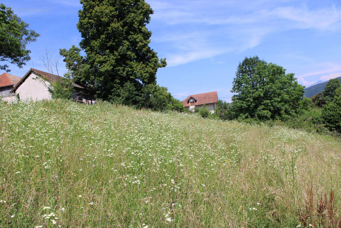 Terrain à QUINTAL
